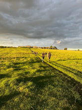 Load image into Gallery viewer, Farm Walk