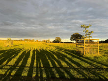 Load image into Gallery viewer, Farm Walk

