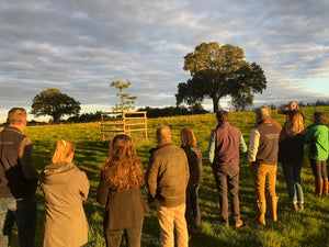 Farm Walk